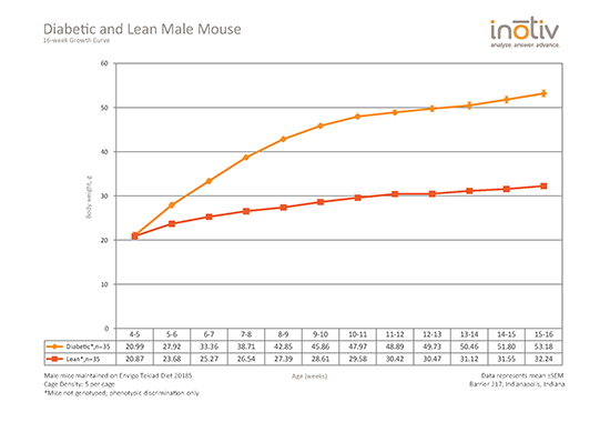 Envigo-diabetic-and-lean-male-growth-curve-16-week